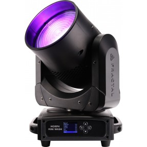 Fractal Morph MINI PIX WASH...