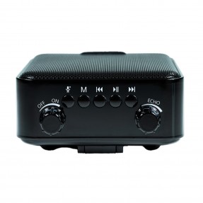 DNA Professional PPS1 - Wzmacniacz głosu Bluetooth akumulatorowy