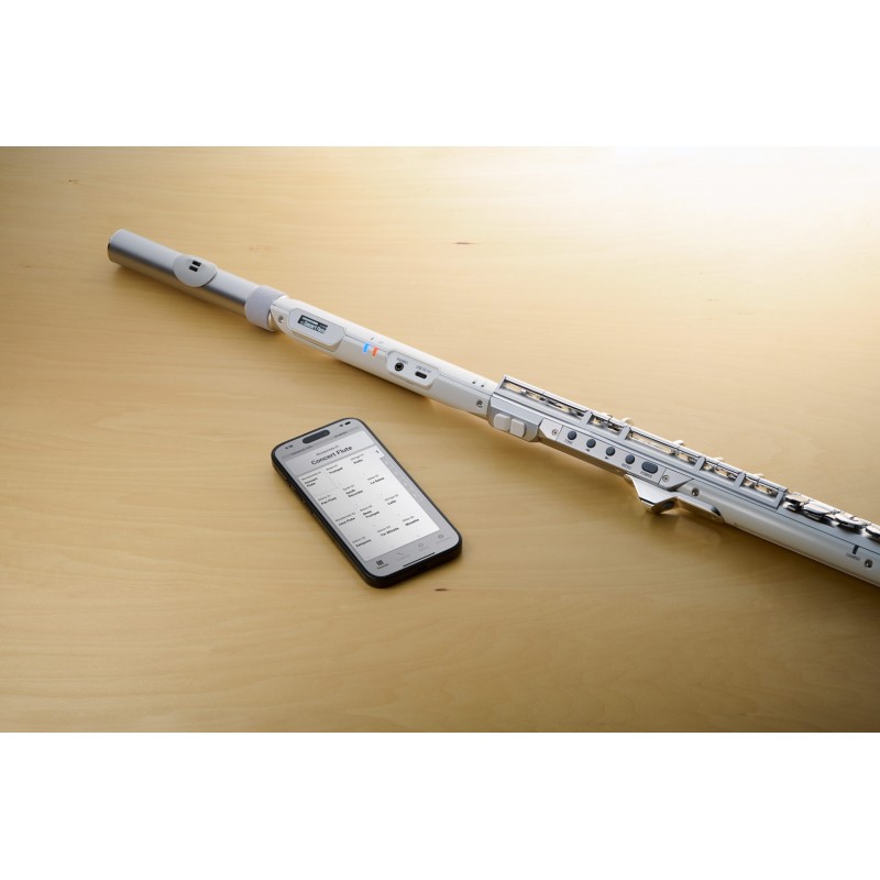 Roland Aerophone AE-Brisa cyfrowy flet poprzeczny - 8 - Dęte Elektroniczne - Poznaj Cyfrowy flet poprzeczny Aerophone Brisa, fas