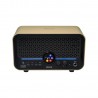 Mooer F15i Li Imperial Gold - Combo gitarowe 2x2" 5W