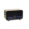Mooer F15i Li Imperial Gold - Combo gitarowe 2x2" 5W