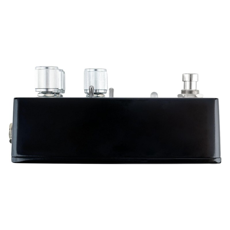 Thorn Soundlabs Black Swamp - Efekt gitarowy Fuzz Thorn Soundlabs Black Swamp - Efekt gitarowy Fuzz