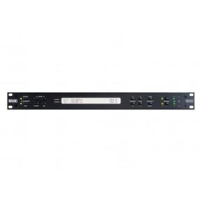 RANE AD22S - Procesor efektowy delay
