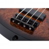 Schecter C-4 Standard Tobacco Burl w/ Figured Burl Top - Gitara basowa
