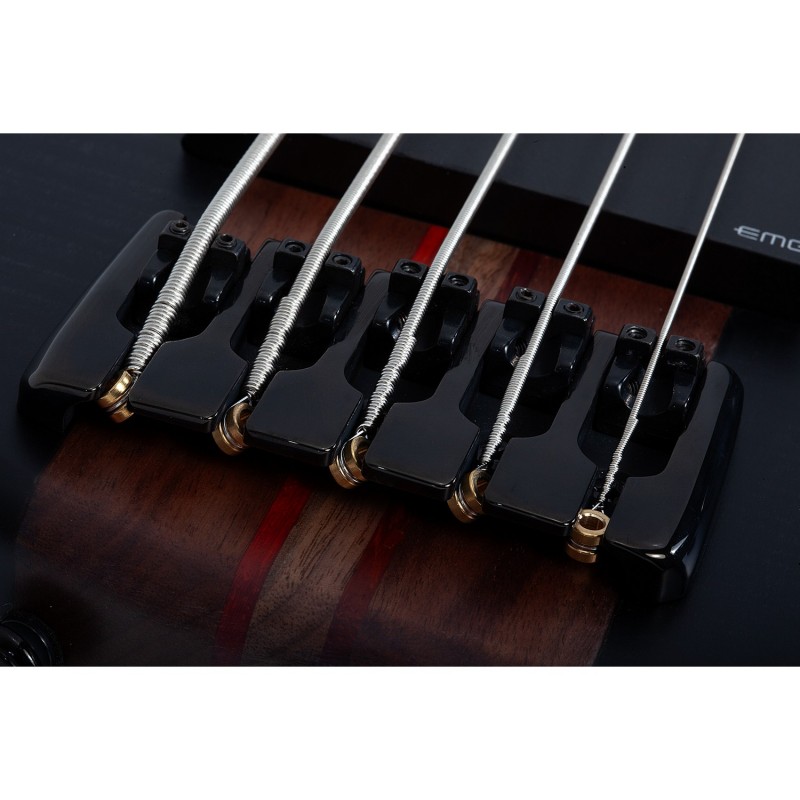 Schecter Charles Berthoud CB-5 See Thru Black Satin - Gitara basowa