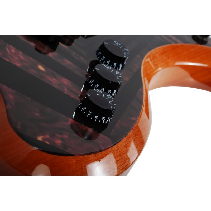 Schecter Wylde Audio Wrathmaker Tortoise Shell Corridors - Gitara elektryczna