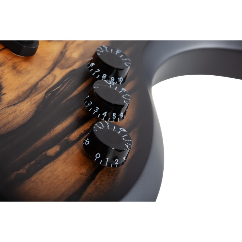 Schecter Wylde Audio Wrathmaker Pale Moon Ebony w/ Black Burst - Gitara elektryczna