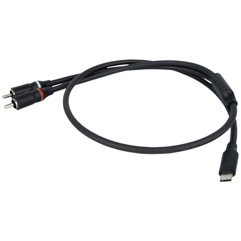 DAP Audio FL110 - Kabel USB-C - 2 RCA M 0.75m