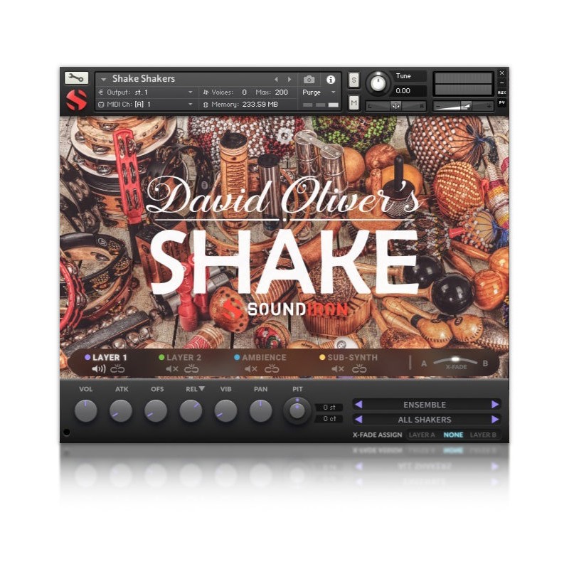 SOUNDIRON Artist Bundle - Zestaw bibliotek brzmień (do pobrania)