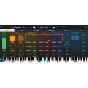 BLEASS SampleWiz 2 Bundle - Syntezator wirtualny VST (do pobrania)