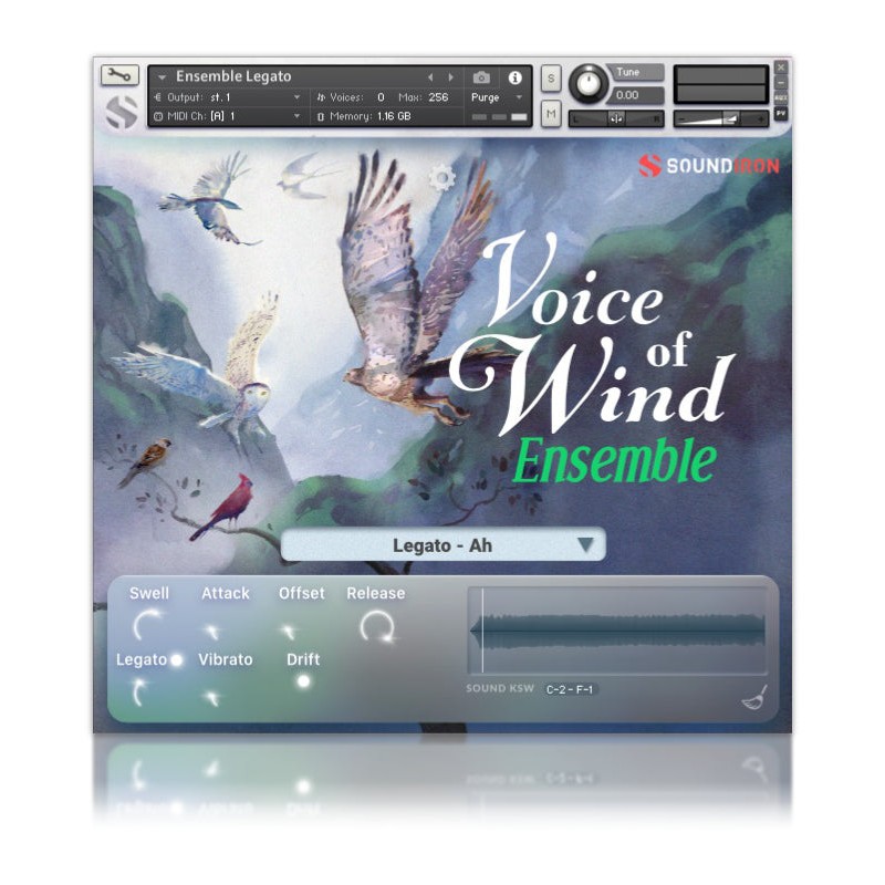 SOUNDIRON Voices of Wind Collection - Biblioteka brzmień (do pobrania)