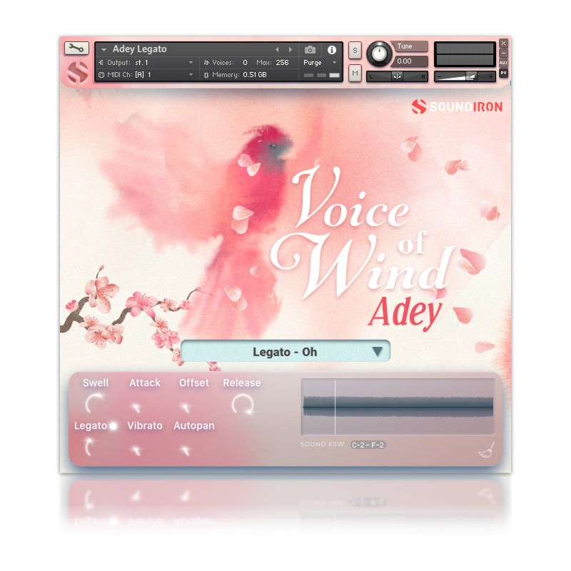 SOUNDIRON Voices of Wind Collection - Biblioteka brzmień (do pobrania)