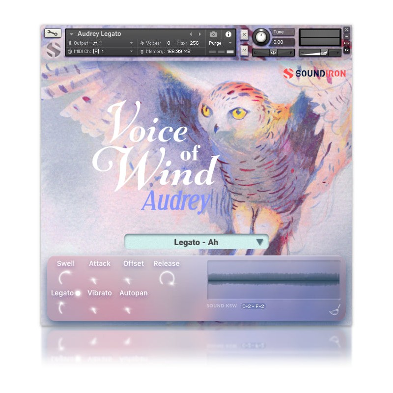 SOUNDIRON Voices of Wind Collection - Biblioteka brzmień (do pobrania)