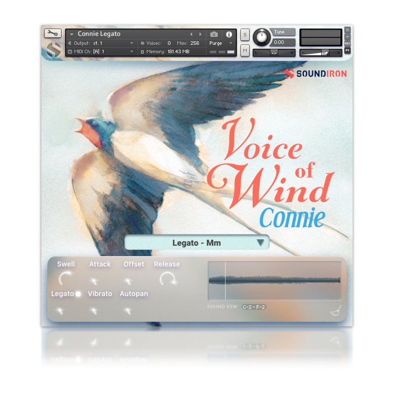 SOUNDIRON Voices of Wind Collection - Biblioteka brzmień (do pobrania)