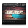 SOUNDIRON Whale Drum - Biblioteka brzmień (do pobrania)