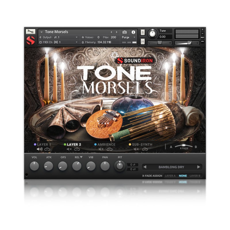 SOUNDIRON Tone Morsels - Biblioteka brzmień (do pobrania)