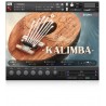 SOUNDIRON Kalimba - Biblioteka brzmień (do pobrania)