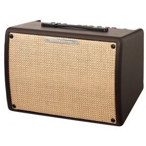 IBANEZ TROUBADOUR T30II - combo akustyczne