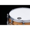 Tama PSP146E-SSC Starphonic Spruce Snare Drum 14" x 6" - Werbel