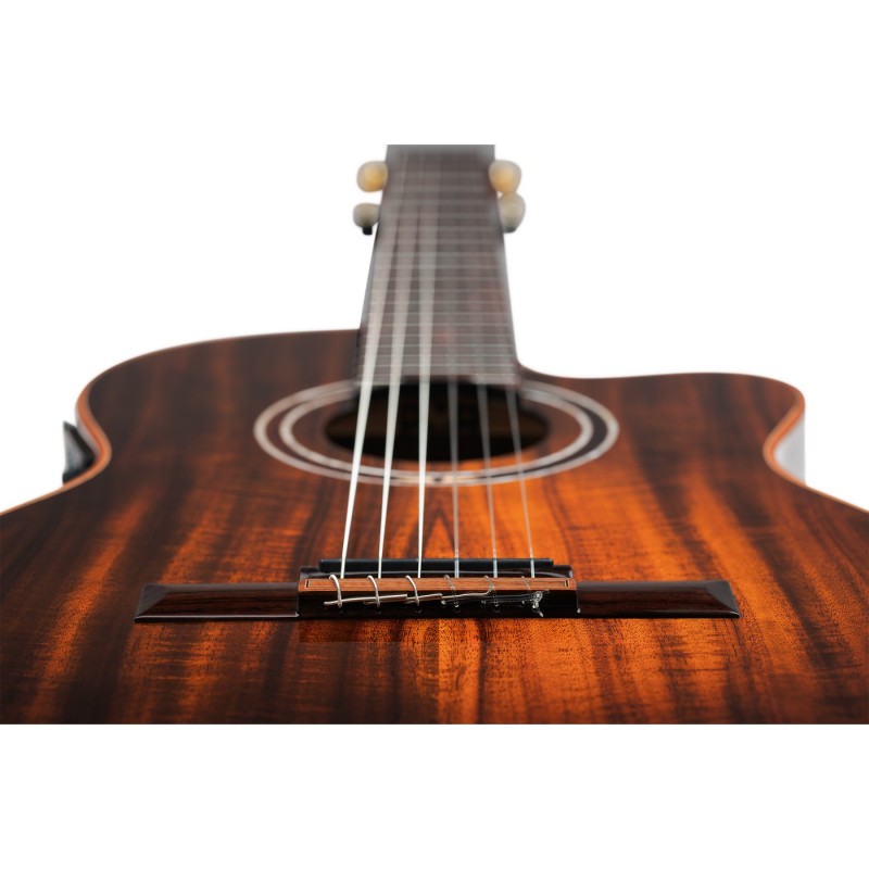 Ortega EXOTICSUITECE The Private Room - Gitara elektroklasyczna 4/4 z pokrowcem