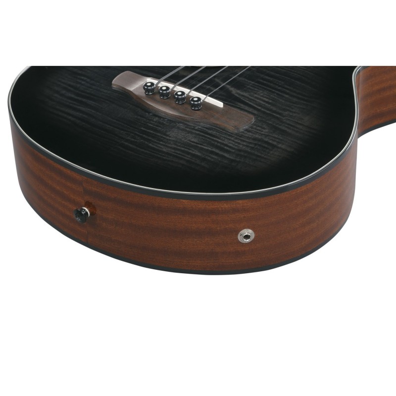 Ibanez AEGB25E-TKH AEGB - Bas akustyczny