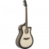 Ibanez AAM370M1CETPA Advanced Acoustic AAM - Gitara elektroakustyczna
