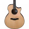 Ibanez AE410-LGS Platinum Collection - Gitara elektroakustyczna z futerałem