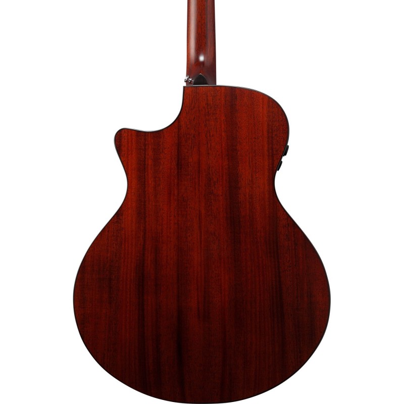 Ibanez AE410-LGS Platinum Collection - Gitara elektroakustyczna z futerałem