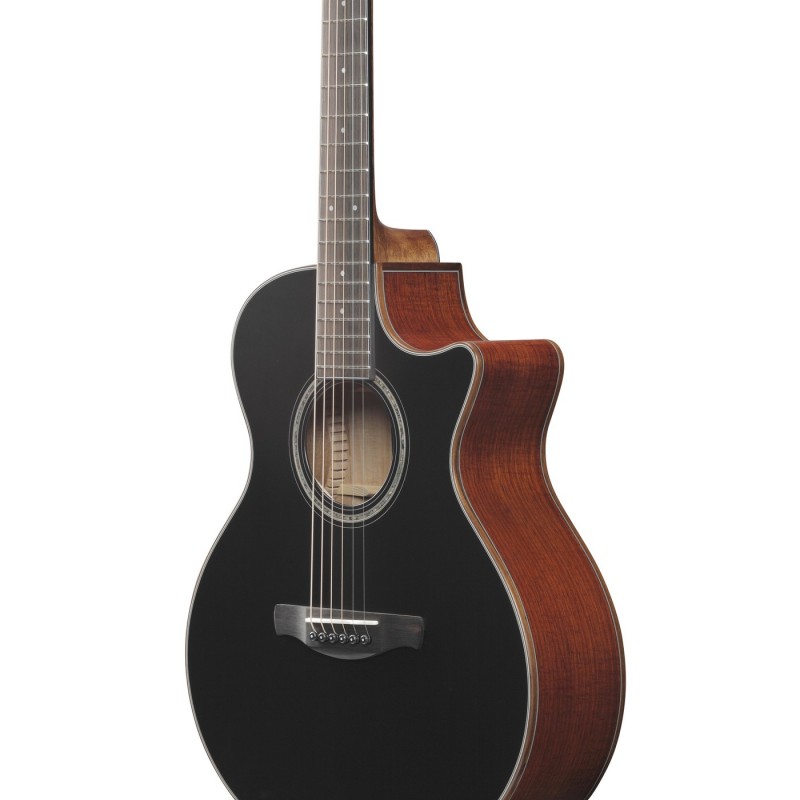 Ibanez AE300FBJR-BOP AE - Gitara elektroakustyczna z pokrowcem