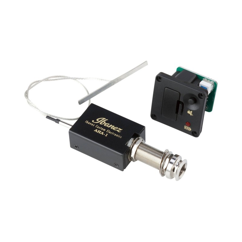 Ibanez AE300FBJR-BOP AE - Gitara elektroakustyczna z pokrowcem