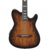 Ibanez FRH20SMN-TCL FRH - Gitara elektroklasyczna