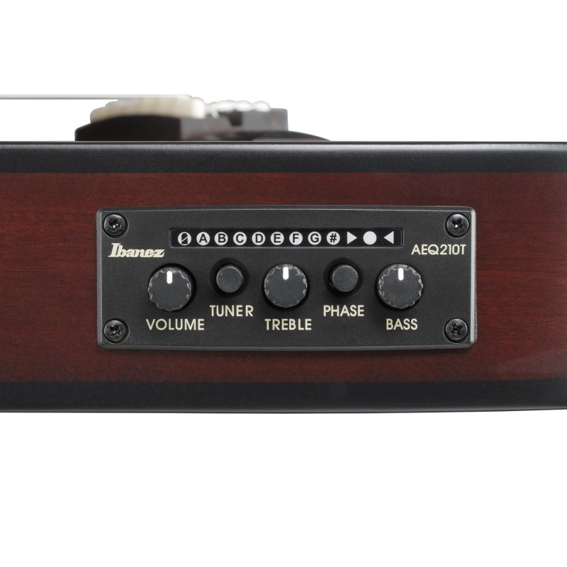 Ibanez FRH20QMN-WRL FRH - Gitara elektroklasyczna