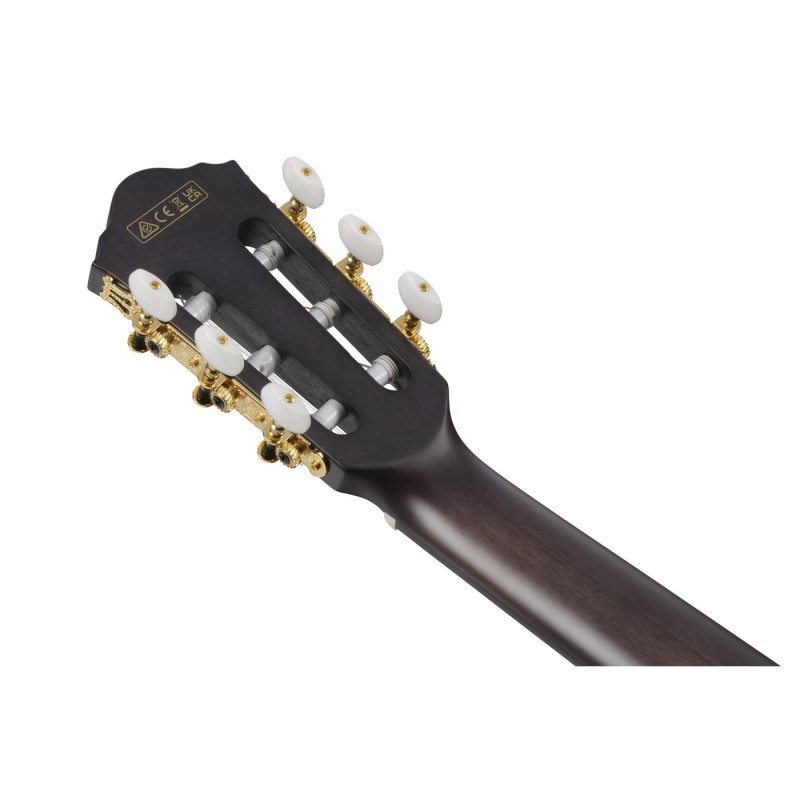 Ibanez FRH20FMN-DGL FRH - Gitara elektroklasyczna