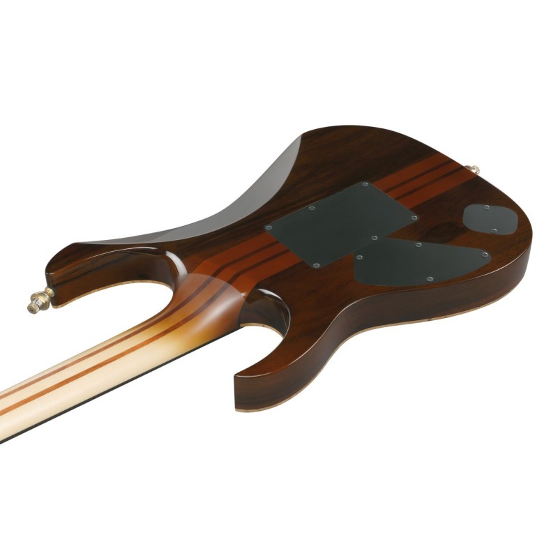 Ibanez IV1RG Visions RG - Gitara elektryczna z futerałem