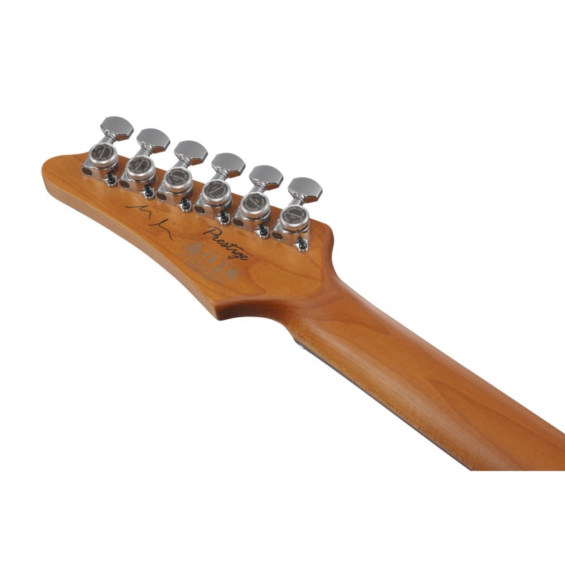 Ibanez MMN1-TAB Martin Miller Signature - Gitara elektryczna z futerałem