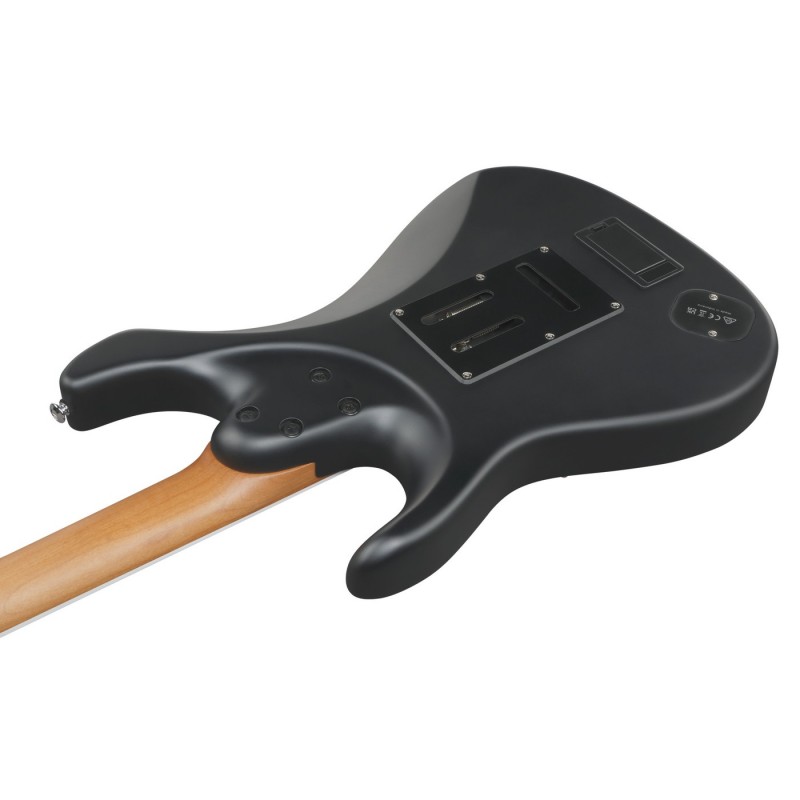 Ibanez BER10 Bernth Signature - Gitara elektryczna z pokrowcem