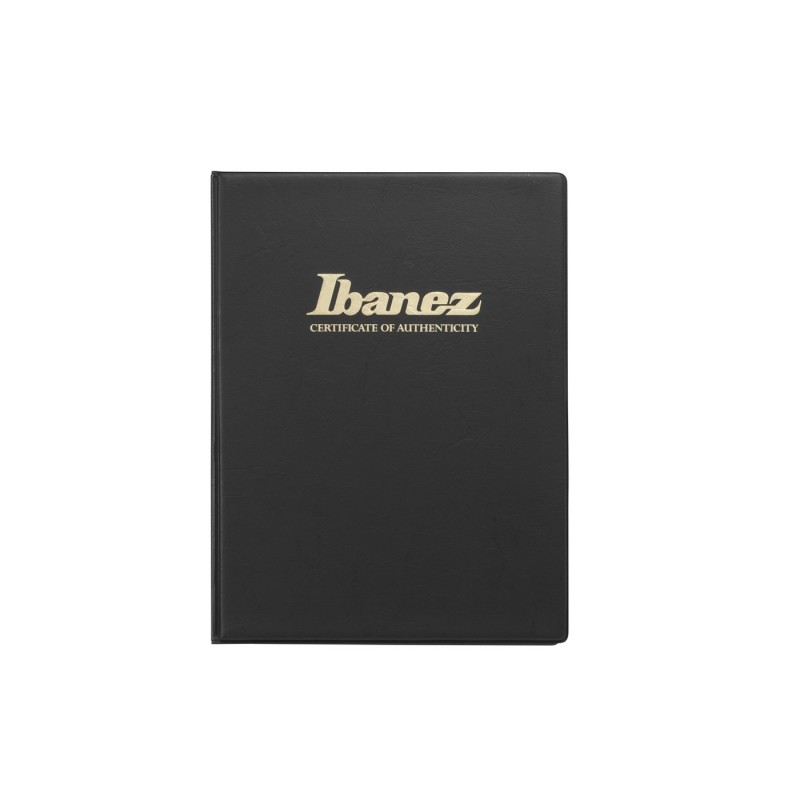 Ibanez IV2MDM Visions MODE - Gitara basowa z futerałem