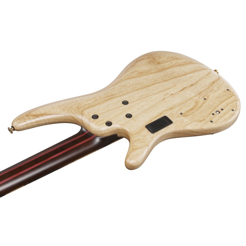 Ibanez IV1SR Visions RG - Gitara basowa z futerałem