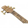 Ibanez IV1SR Visions RG - Gitara basowa z futerałem