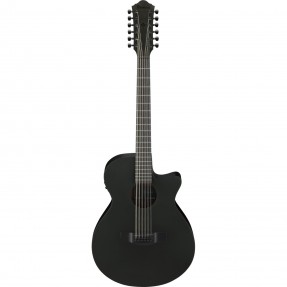 Ibanez AEG1221-BOT AEG - Gitara elektroakustyczna