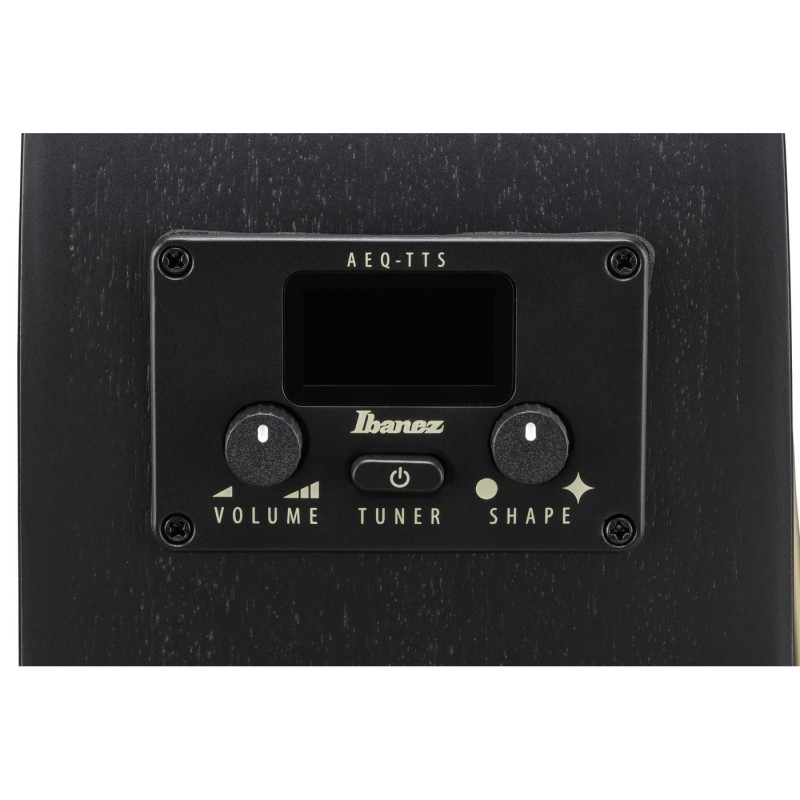 Ibanez AEG1221-BOT AEG - Gitara elektroakustyczna