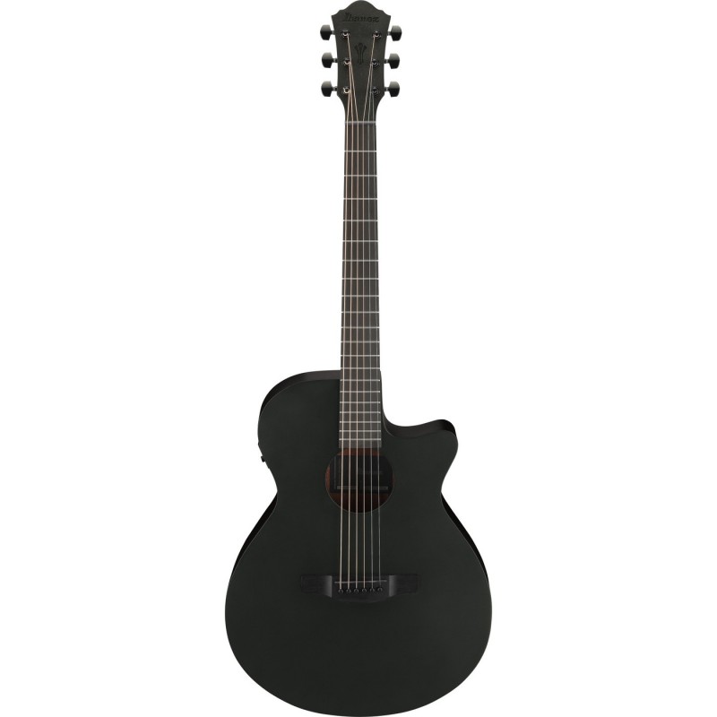 Ibanez AEG621-BOT AEG Acoustic - Gitara elektroakustyczna