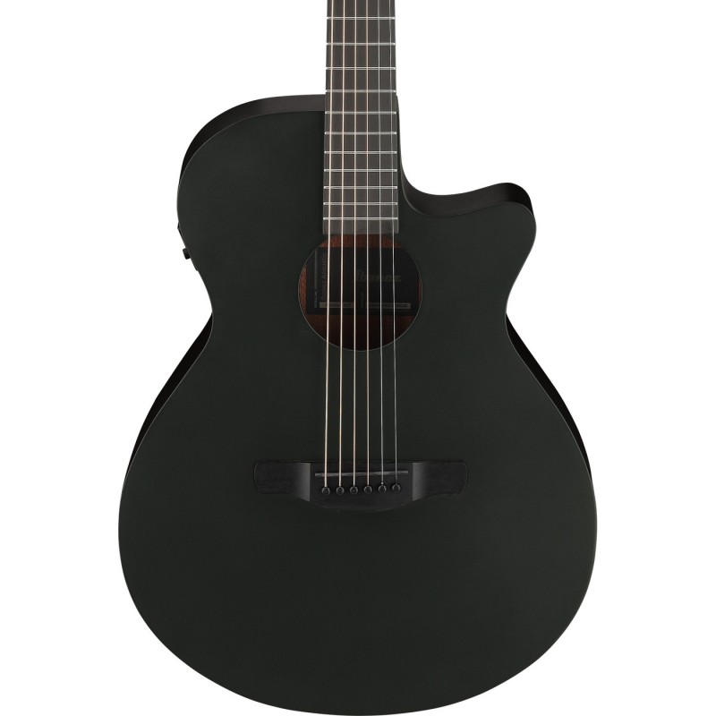 Ibanez AEG621-BOT AEG Acoustic - Gitara elektroakustyczna