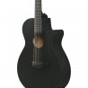 Ibanez AEG621-BOT AEG Acoustic - Gitara elektroakustyczna