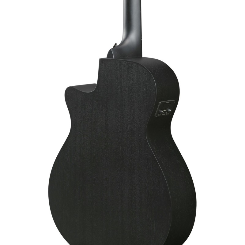 Ibanez AEG621-BOT AEG Acoustic - Gitara elektroakustyczna