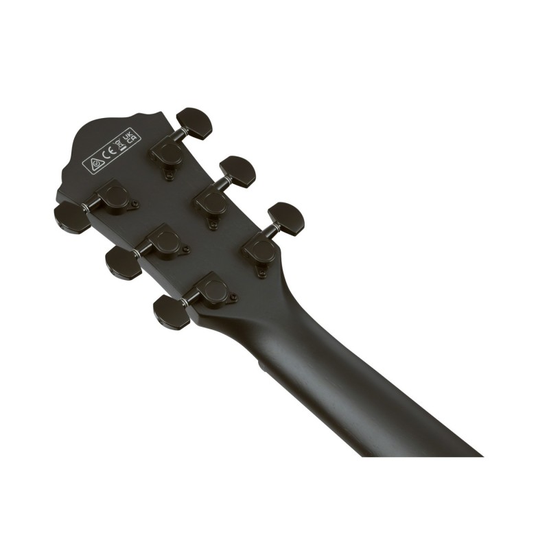 Ibanez AEG621-BOT AEG Acoustic - Gitara elektroakustyczna