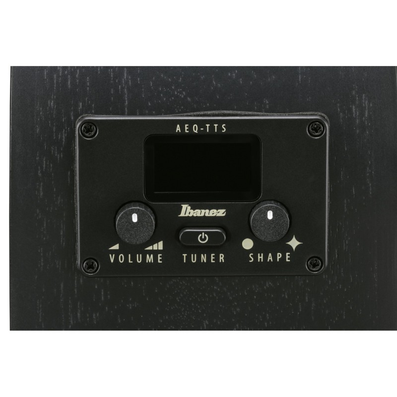 Ibanez AEG621-BOT AEG Acoustic - Gitara elektroakustyczna