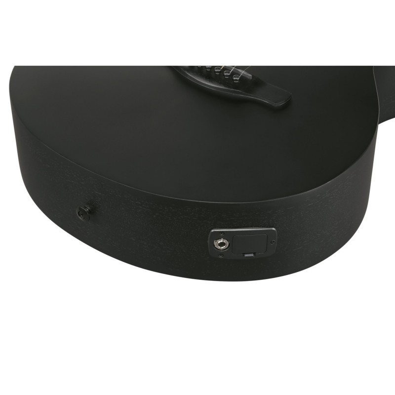 Ibanez AEG621-BOT AEG Acoustic - Gitara elektroakustyczna