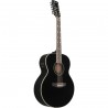 Ibanez AJ7012M1E-BK Artwood AJ - Gitara elektroakustyczna