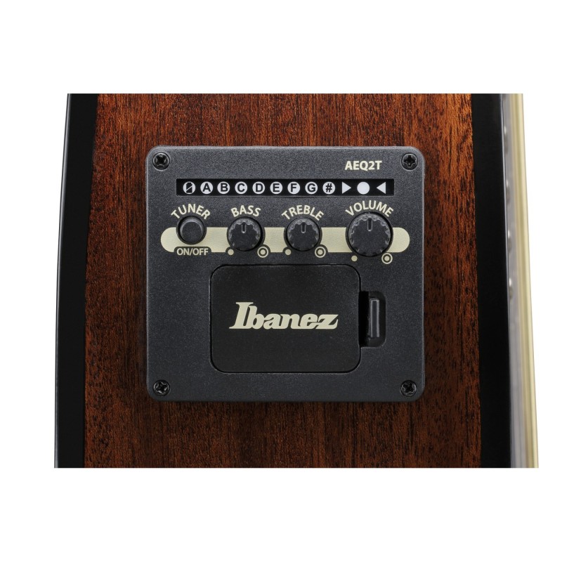 Ibanez AEWC16QA-TEH AEWC Acoustic - Gitara elektroakustyczna